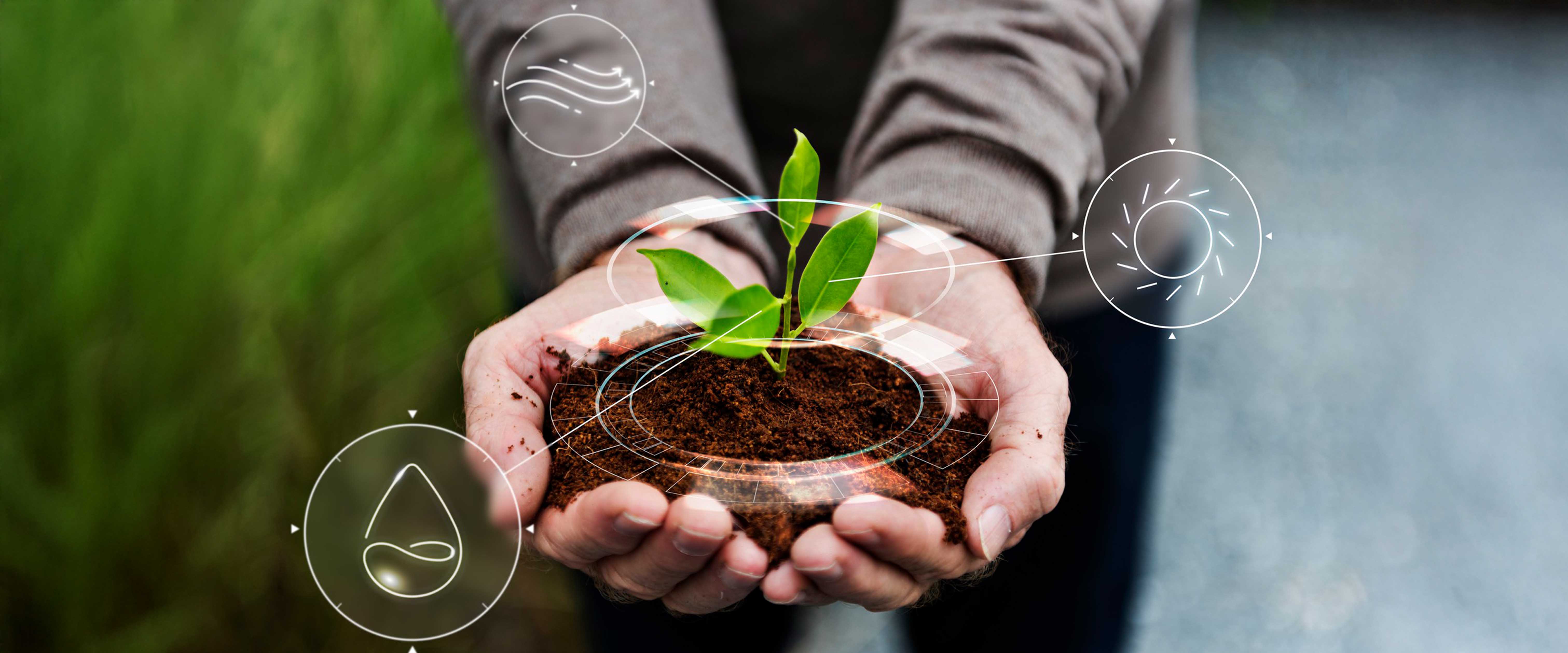 Sustainability